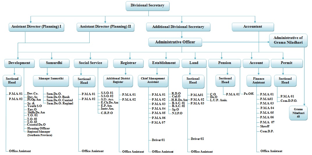 org chart english
